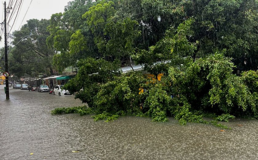 Defesa Civil Alerta é lançado no Nordeste para notificar riscos