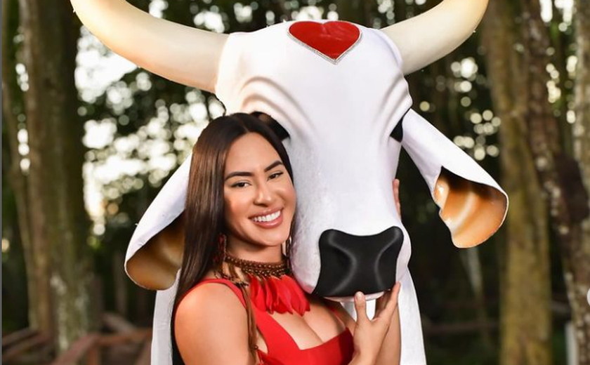 Festival de Parintins 2024: saiba onde assistir a disputa entre os bois Garantido e Caprichoso
