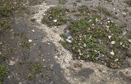 Resíduos sólidos emitem 4% de gases de efeito estufa