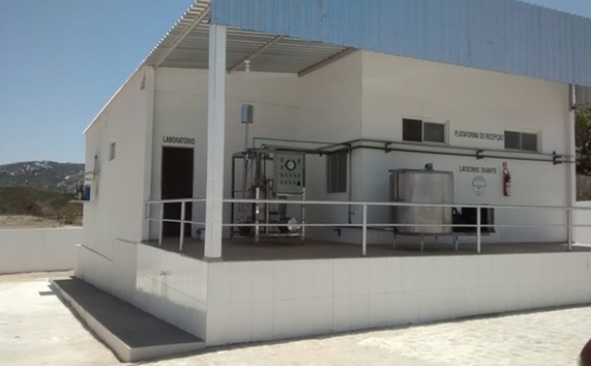 Laticínios iniciam uma nova realidade no Sertão de Alagoas