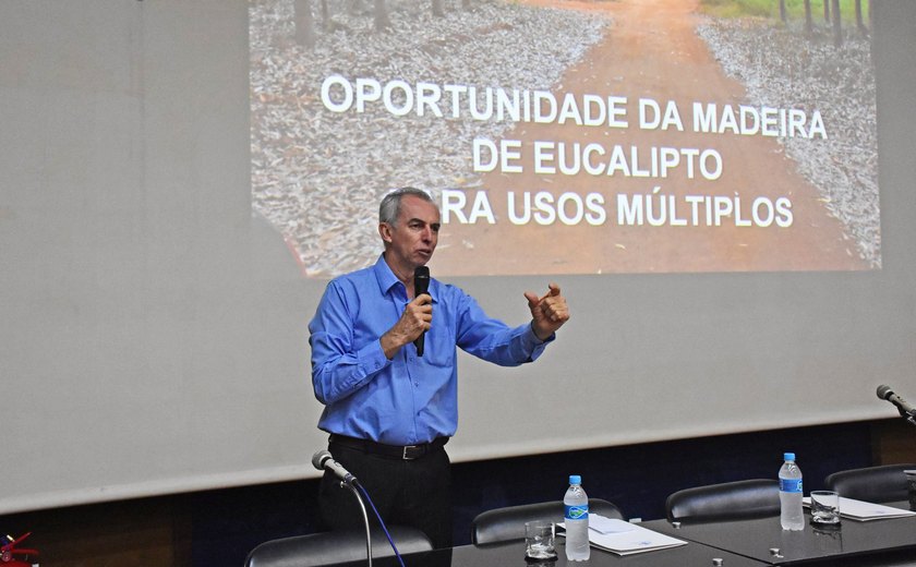 Eucalipto é alternativa para diversificação econômica de Alagoas