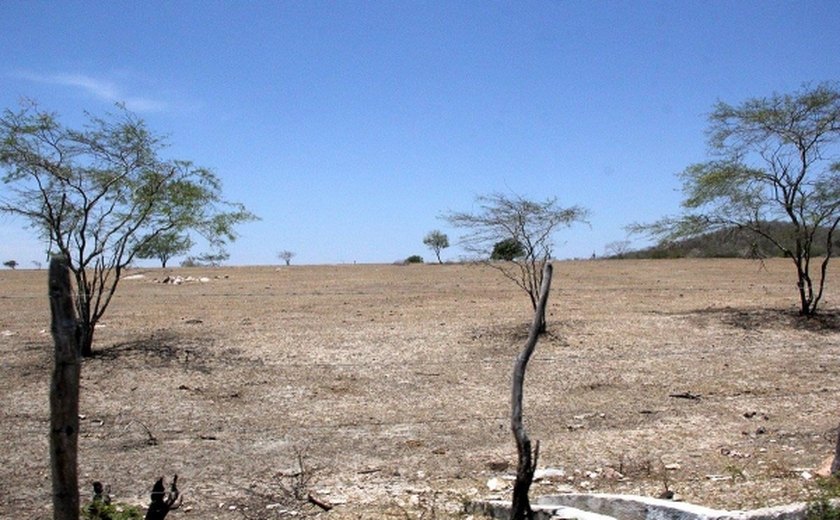 Seminário estadual debate combate à desertificação em Alagoas