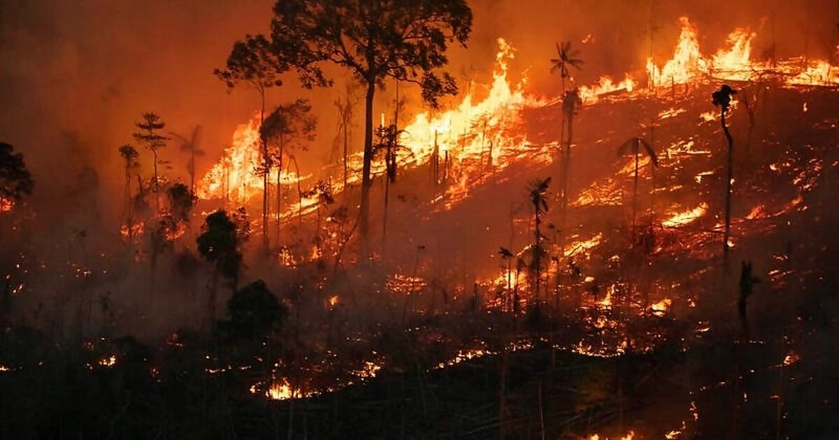 Brasil Registra 17 Mil Focos De Queimada Em 4 Meses E Bate Recorde