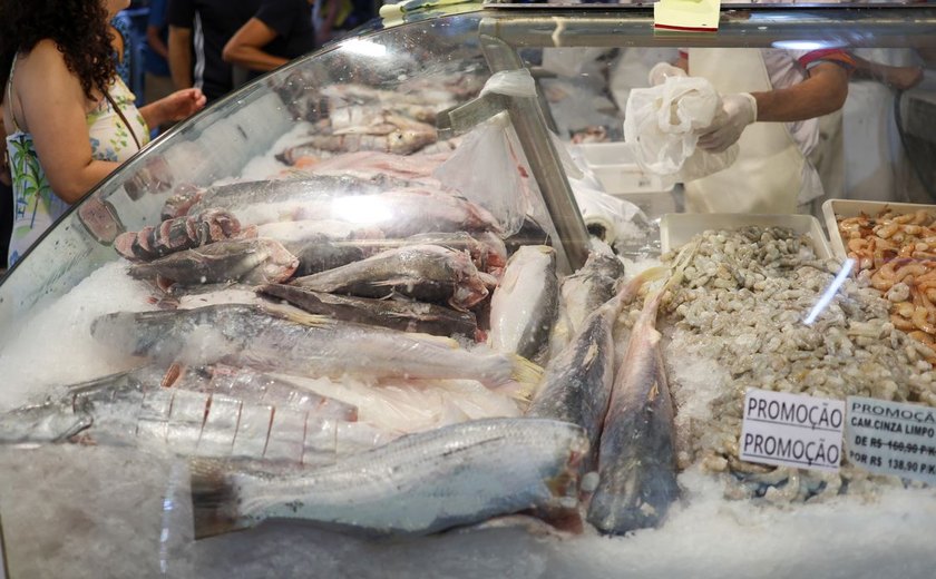 Semana do pescado pretende aumentar consumo do produto em 30%