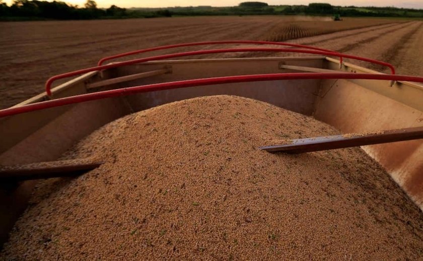 Estimativa da Conab para safra 2021/22 indica produção recorde de 271,4 mi de t