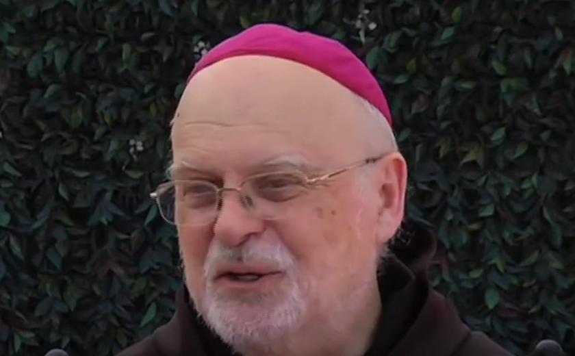 Por que cardeal sueco é favorável à lei sobre 'ecocídio' e está cotado para ser o novo papa