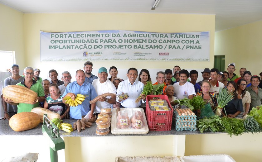 Prefeitura recebe produtos do PAA que serão distribuídos a 12 instituições de Palmeira dos Índios