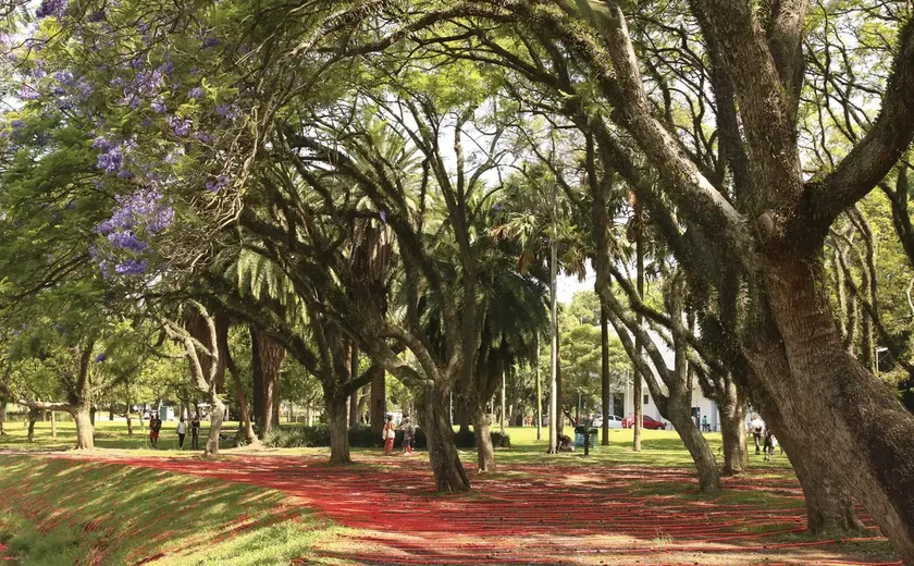 Engenheiro é morto durante assalto em residência na região do Parque Ibirapuera