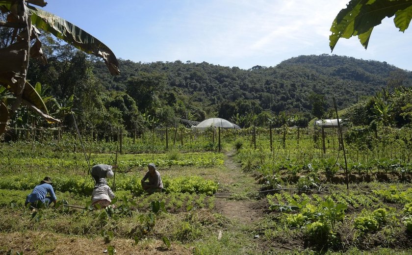 Lei institui política de empreendedorismo para jovens no campo