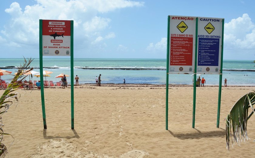 Tubarões fazem Pernambuco estudar fechamento de praia