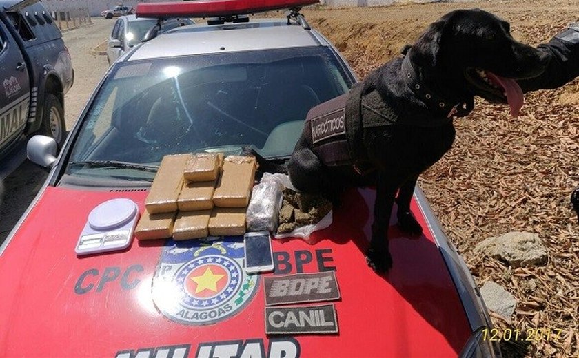 Cadela do Bope encontra 6 kg de maconha enterrada em Maceió