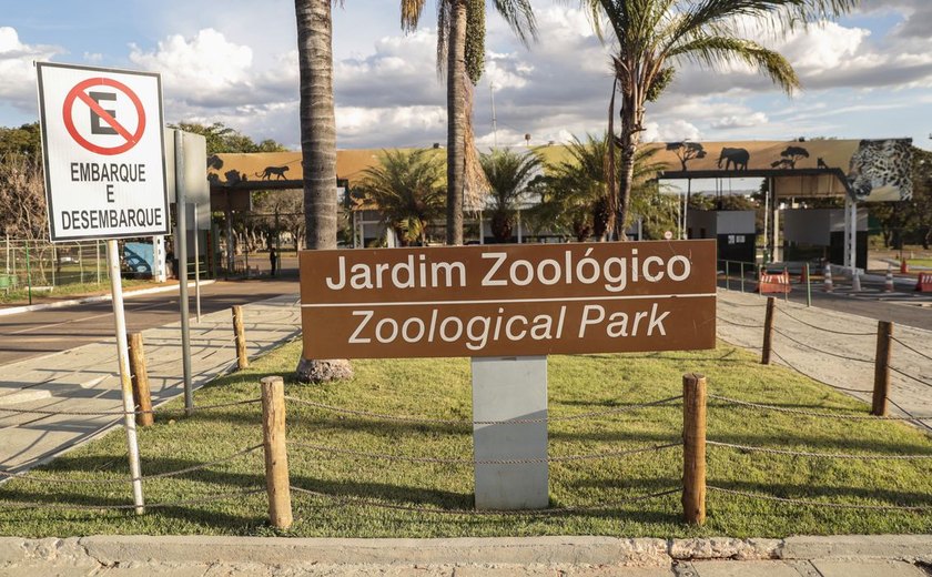 Jardim Zoológico de Brasília é fechado por suspeita de gripe aviária