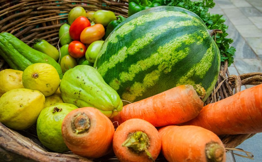 Governador sanciona lei que institui o Alagoas Sem Fome