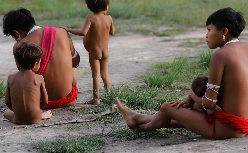 Número de óbitos de indígenas Yanomami cai 21% em 2024