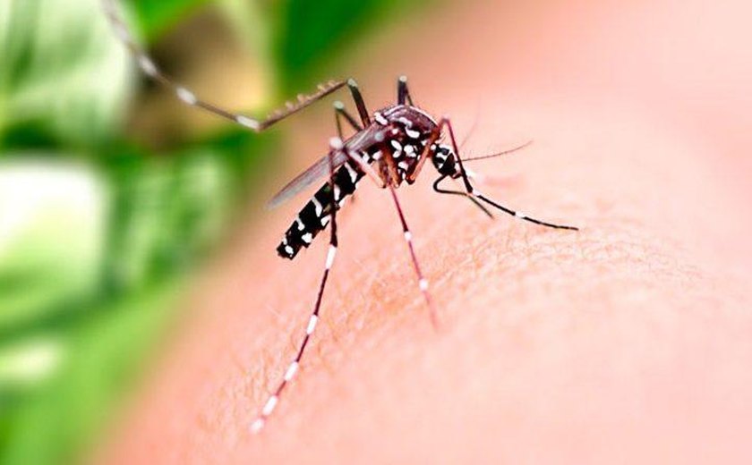 Saúde orienta população sobre prevenção à Dengue, Zika e Chikungunya