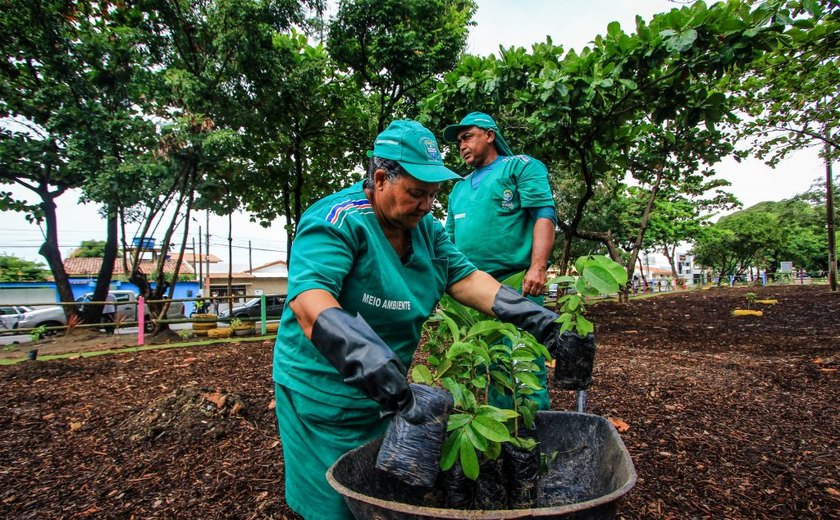 Prefeitura amplia serviços de limpeza e arborização em Maceió