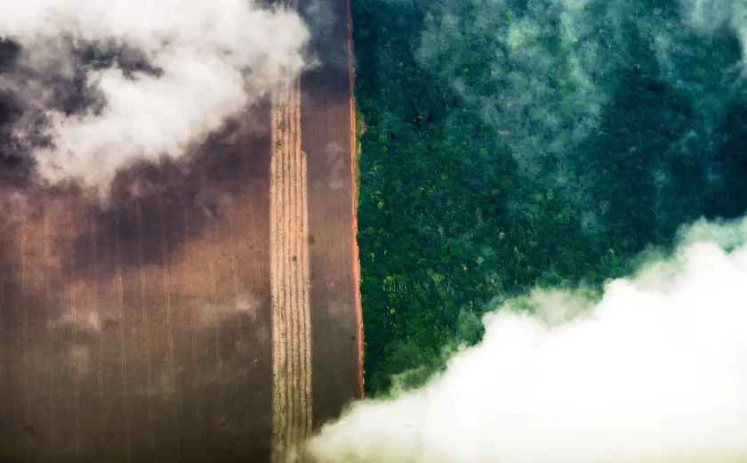 Conhecimento indígena pode melhorar relação com o meio ambiente