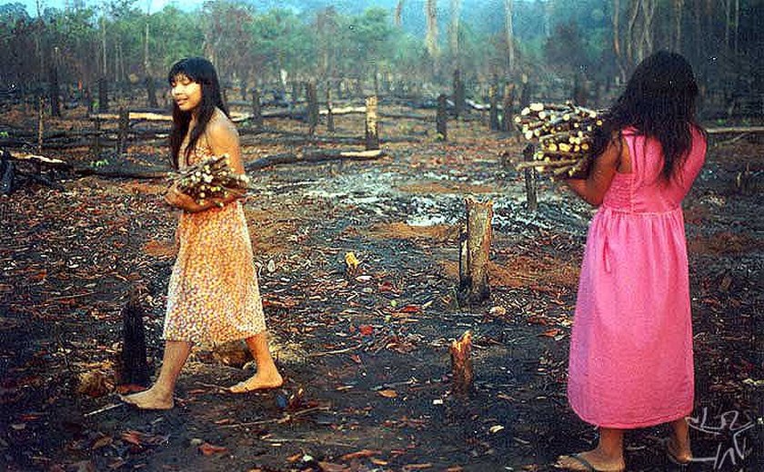 O Xingu visto pelos povos da floresta e pelos caraíbas em imagens raras no IMS