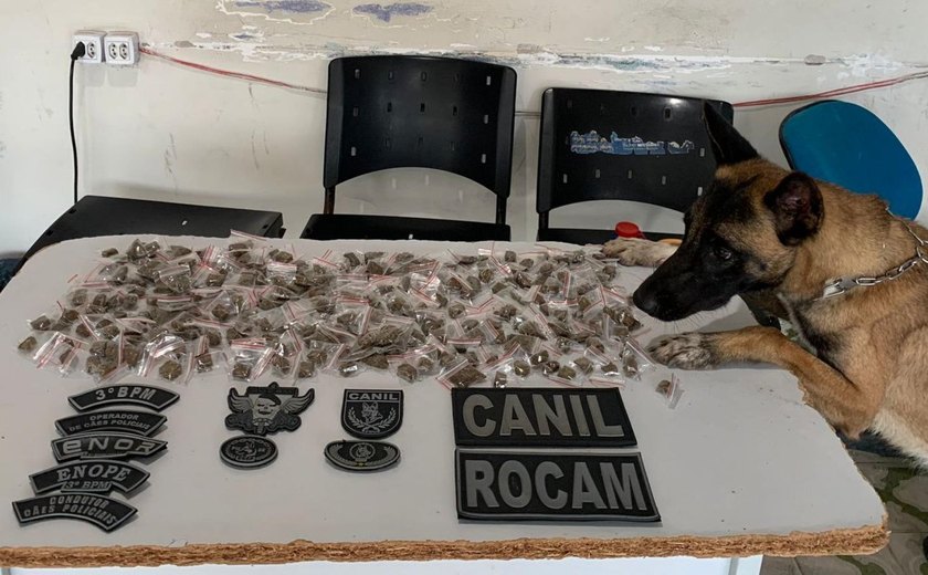 Polícia Militar apreende drogas e armas durante abordagens em Arapiraca