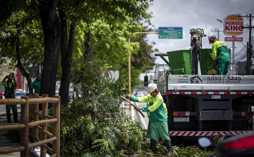 Prefeitura de Maceió orienta como solicitar poda e supressão de árvores
