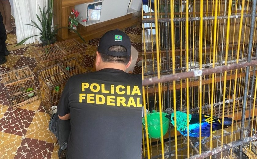 Papagaios ameaçados de extinção somem de zoológico e PF apura crime ambiental em Alagoas