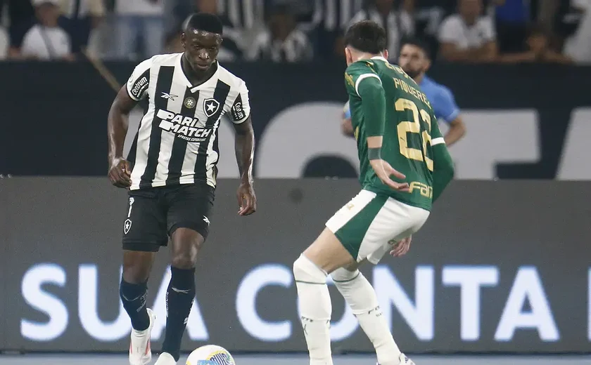 Botafogo x Palmeiras: veja horário e onde assistir ao jogo da Libertadores