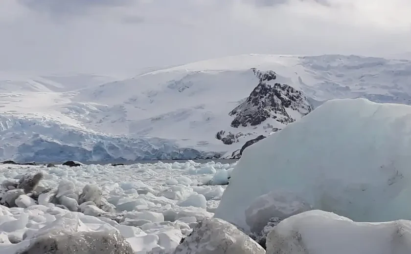 Mulher é encontrada após sobreviver por semanas em montanhas remotas cobertas por neve nos EUA