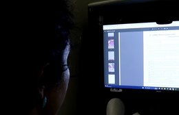 Cartilha contra relacionamento abusivo ganhará atualização