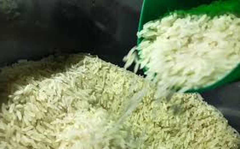 Governo federal publica MP que autoriza compra de até um milhão de toneladas de arroz