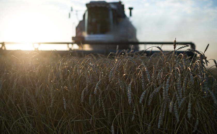 Guerra tarifária: após Brasil, China vai à Argentina substituir produtos agrícolas dos EUA
