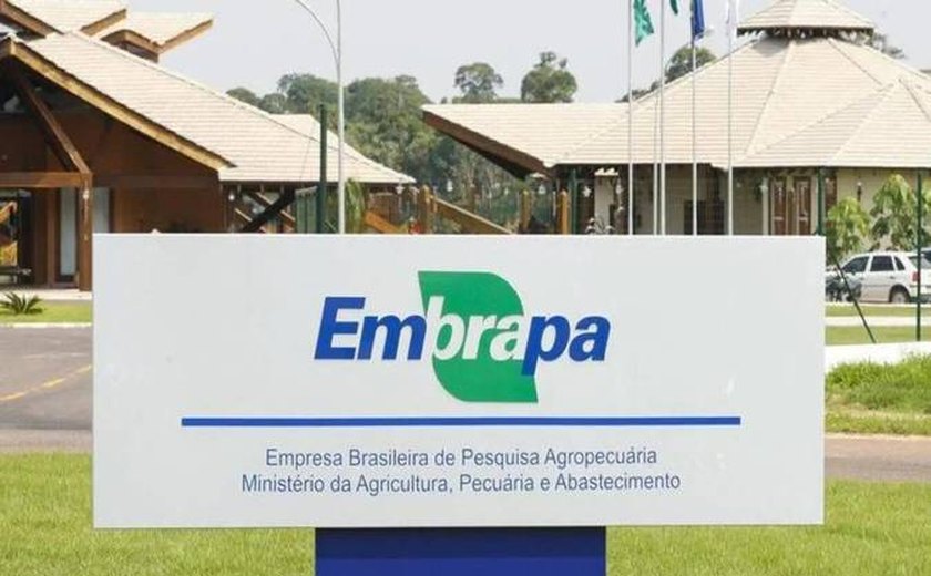 Embrapa usará satélites para mapear áreas com potencial para a criação de peixes. Entenda a tecnologia