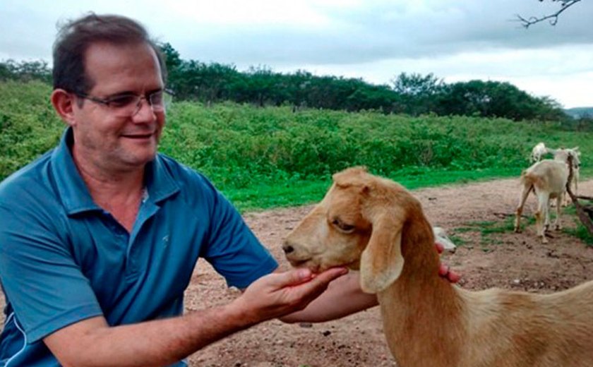Pesquisadores da Uneal descobrem alimentação animal alternativa