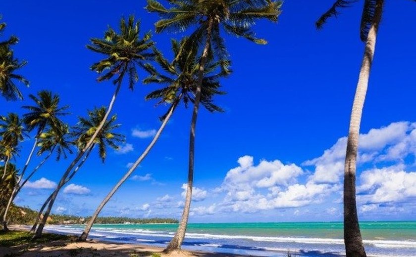 Litoral Norte de Alagoas é destaque por suas praias e tranquilidade