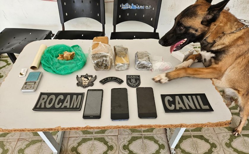 Polícia Militar flagra tráfico de drogas durante ações em Maragogi e Arapiraca
