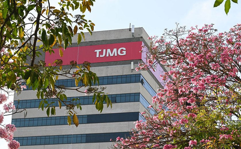 TJMG desenvolve projeto 'Transparência para Todos' com uso de linguagem simples e acessível