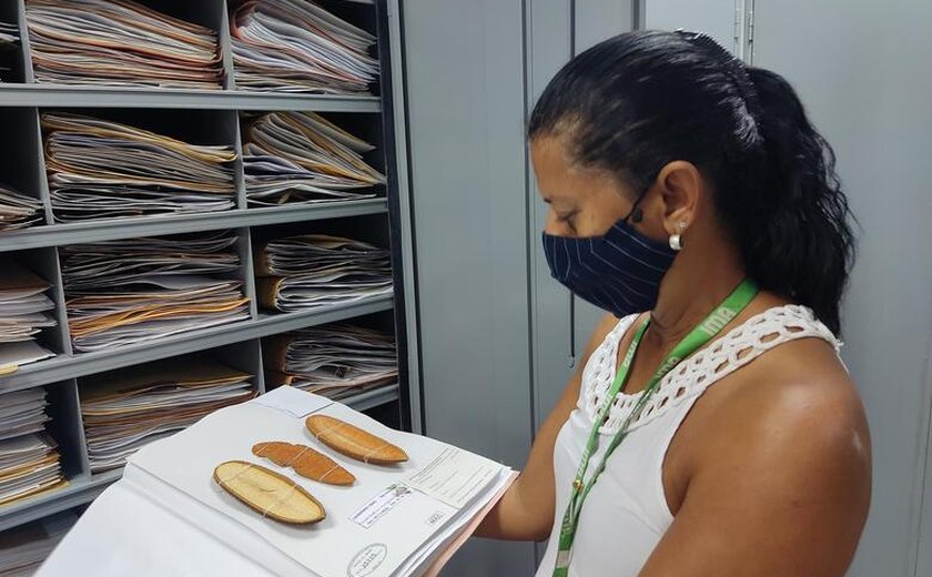 Resolução do Cepram assegura permanência vitalícia ao Herbário MAC