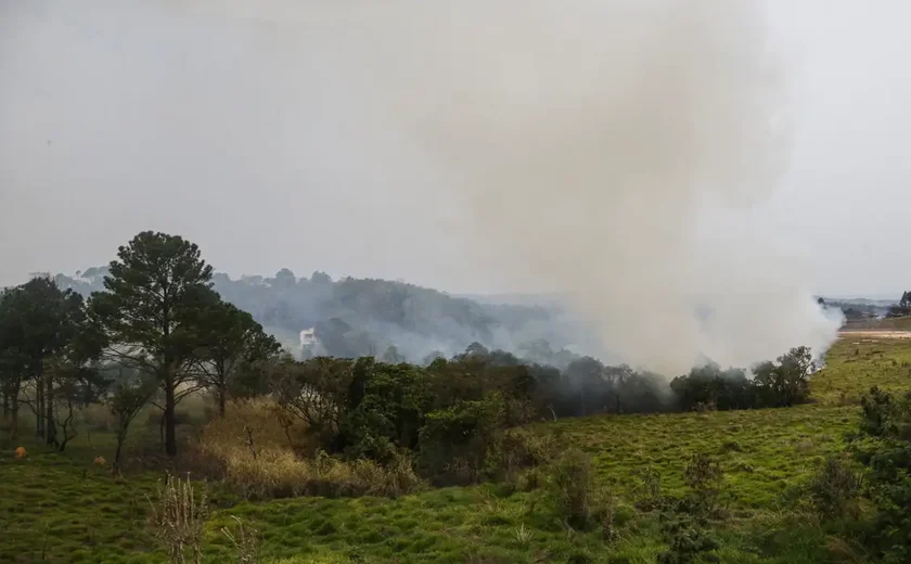 Cana: Unica mobiliza 10 mil brigadistas e 1,5 mil caminhões-pipa no combate aos incêndios em SP