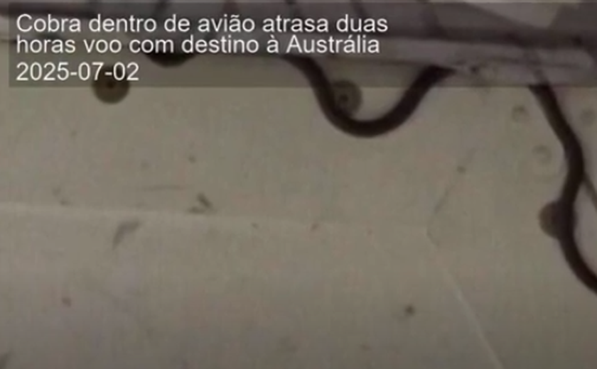 Cobra é encontrada em avião e atrasa voo na Austrália