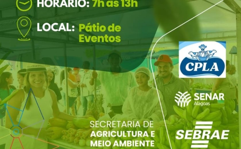 Prefeitura de Novo Lino promove segunda edição da Feira da Agricultura Familiar na quinta