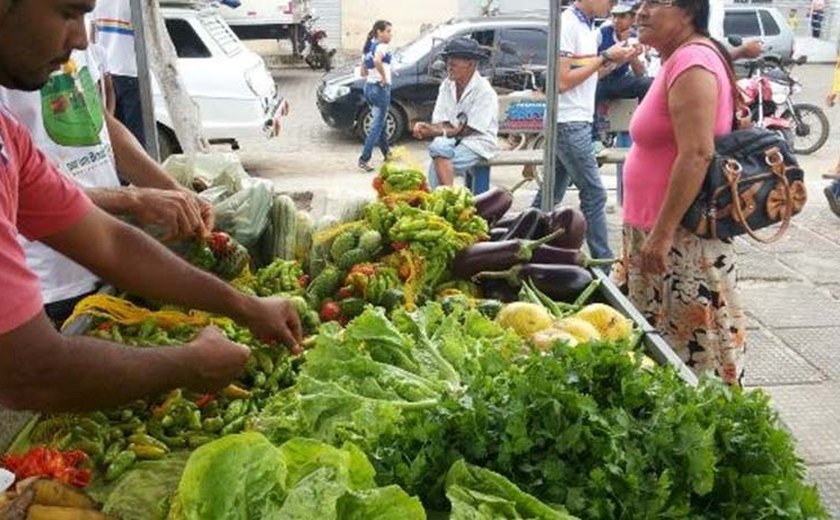 Produtores inauguram feira de agricultura no município de São Sebastião
