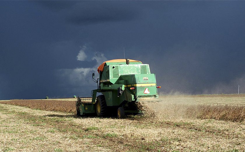 Centro-Oeste produz cerca de 42% da safra brasileira de grãos