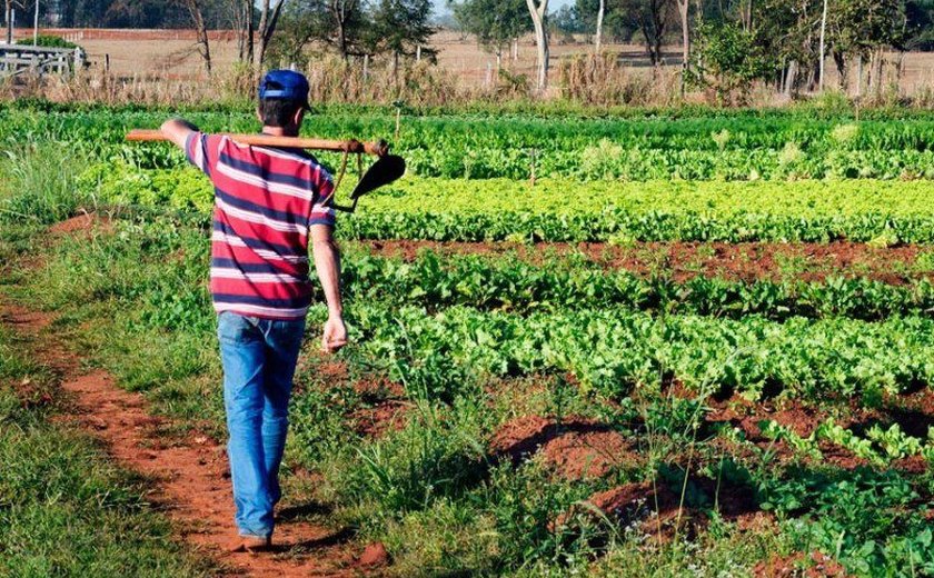 Lula anuncia novo Plano Safra para agricultura familiar