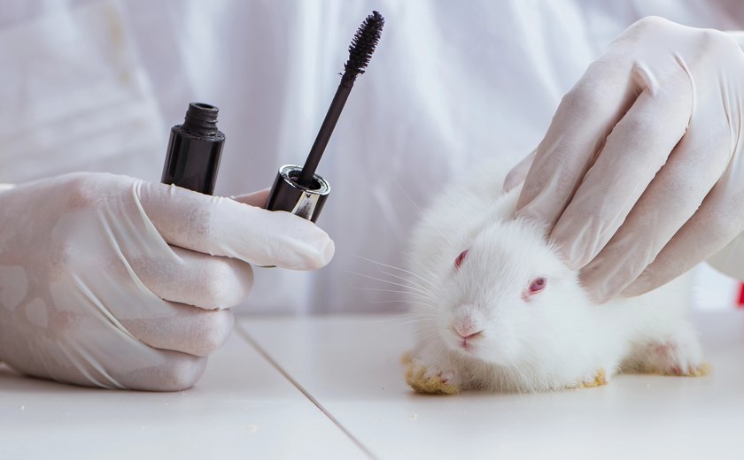 Entidades de defesa dos animais comemoram proibição de testes cosméticos em vertebrados vivos