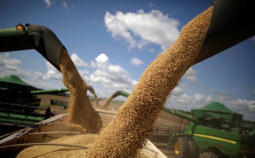 BB prevê liberar R$ 260 bilhões em financiamentos para o agro na safra 2024/25