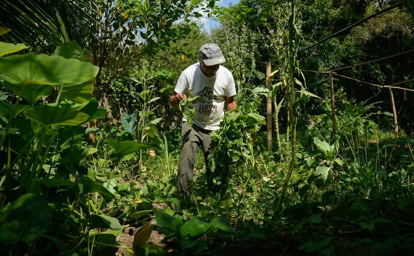 Edital seleciona 36 projetos para fortalecer agricultura familiar