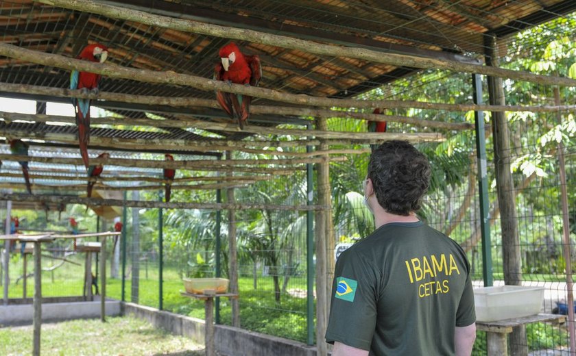 Servidores ambientais federais aprovam greve em 17 estados e no DF