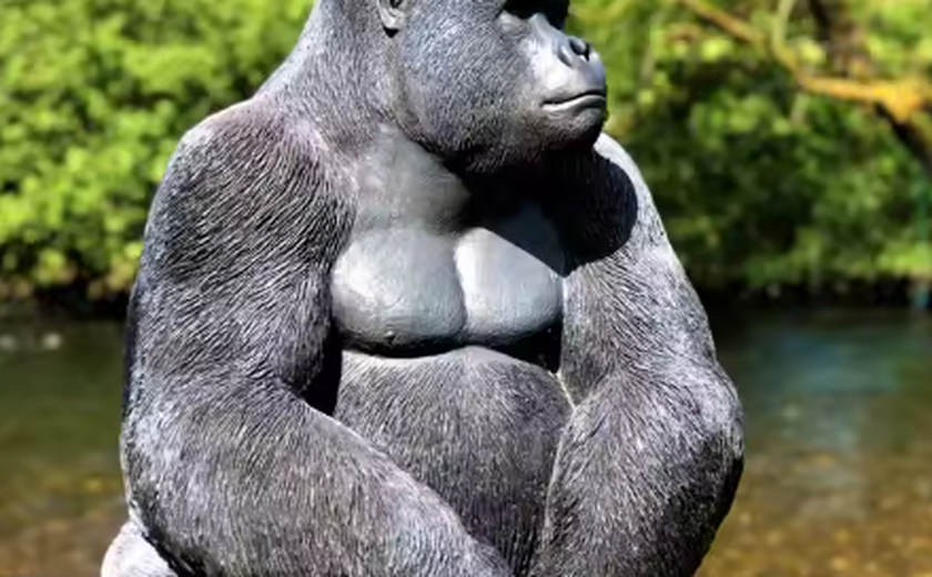 Polícia acusa homem de roubar estátua de gorila de 1,5 m de vila de aposentados