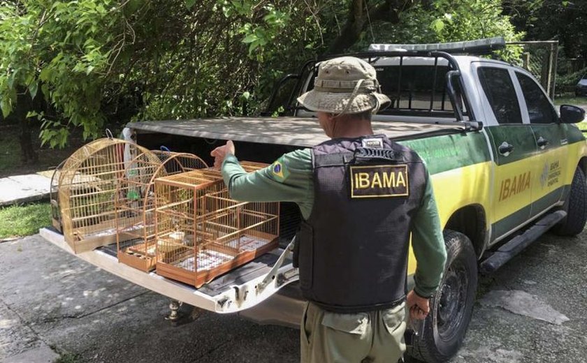 Comissão debate aumento de pena para tráfico de animais silvestres