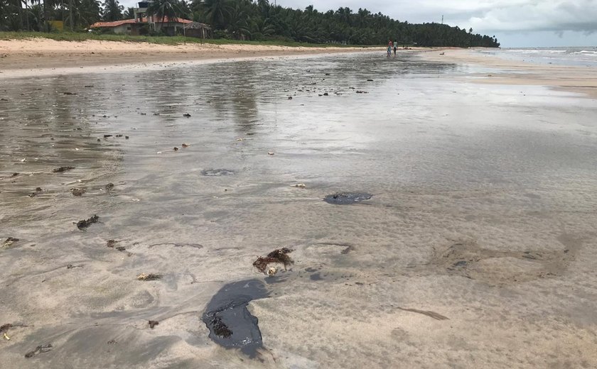 Presidente do TRF5 mantém medidas e prazos sobre contenção do óleo nas praias de Alagoas e reconhece acordo feito em Pernambuco