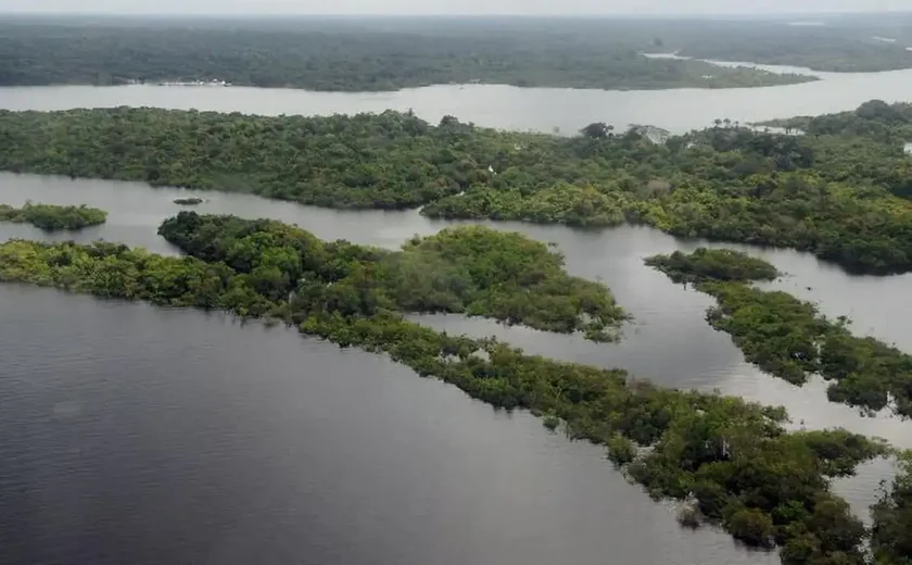 Noruega anuncia, na COP28, nova doação de R$ 245 milhões ao Fundo Amazônia
